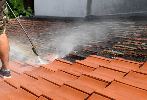 Best Pressure Washing Contractors  in Coral Terrace, FL